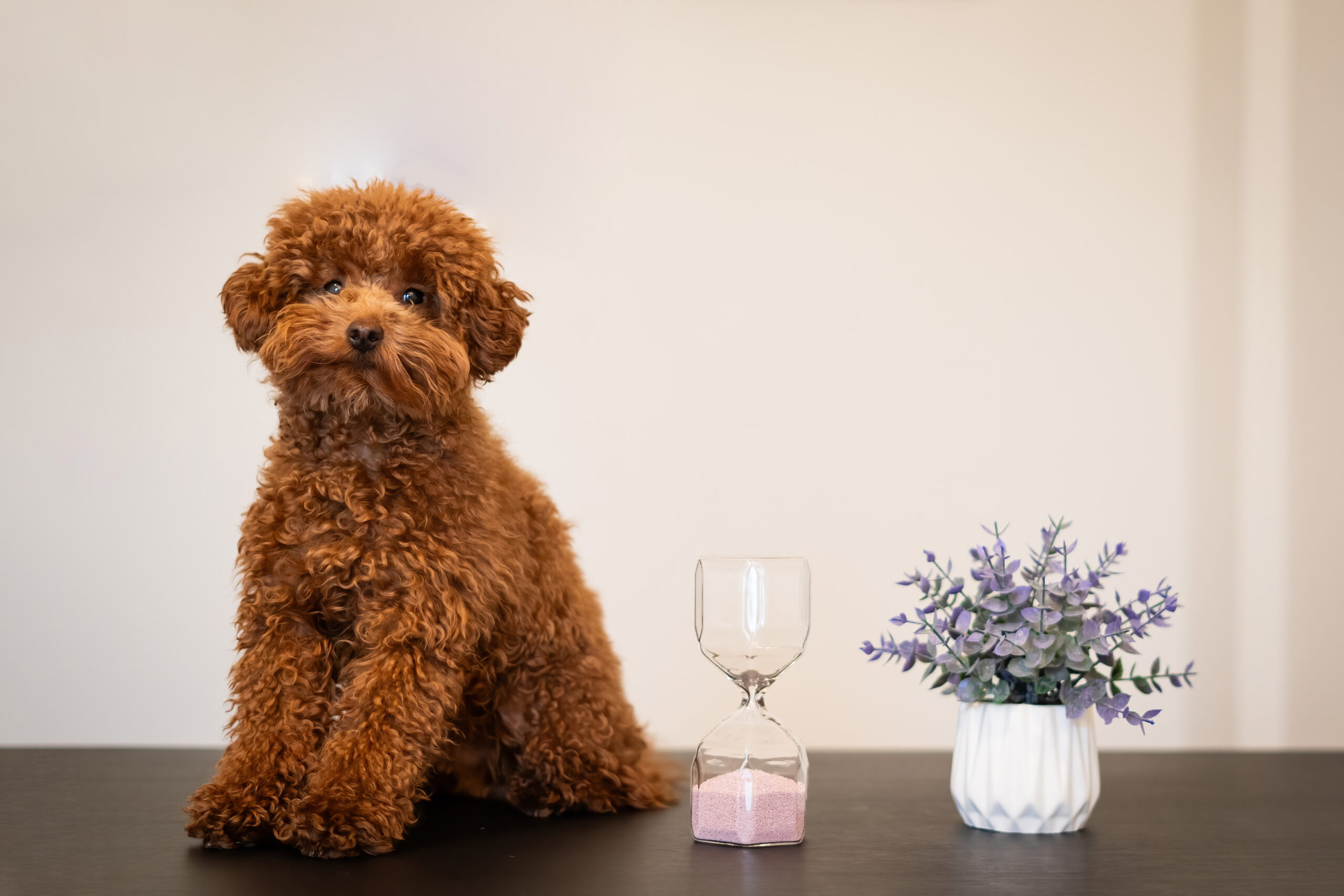 Dott.ssa Linda Amicucci